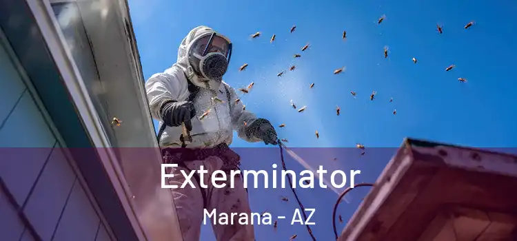  Exterminator Marana - AZ