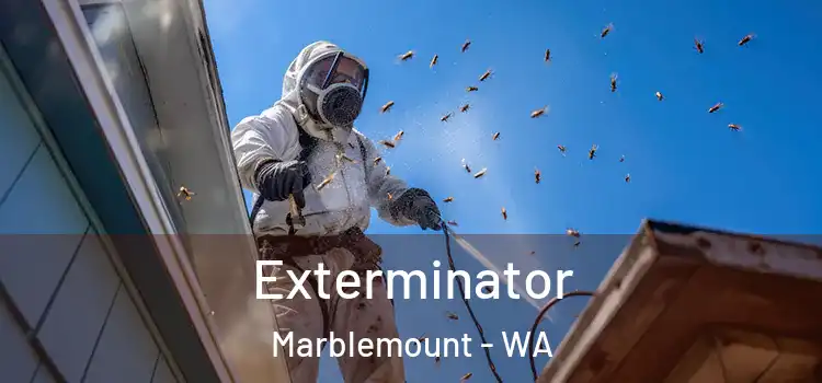  Exterminator Marblemount - WA