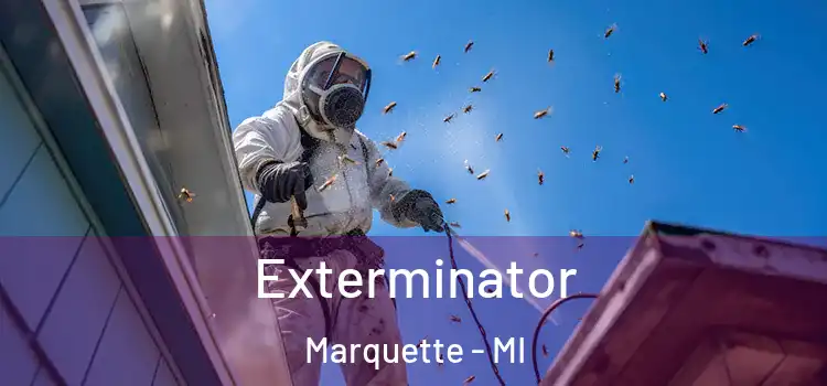 Exterminator Marquette - MI
