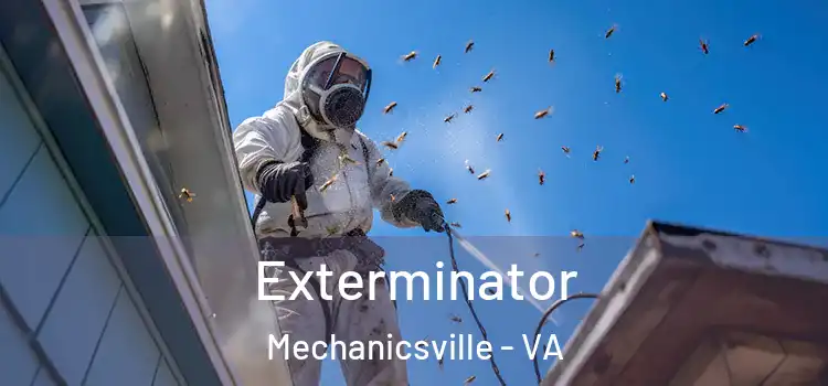Exterminator Mechanicsville - VA