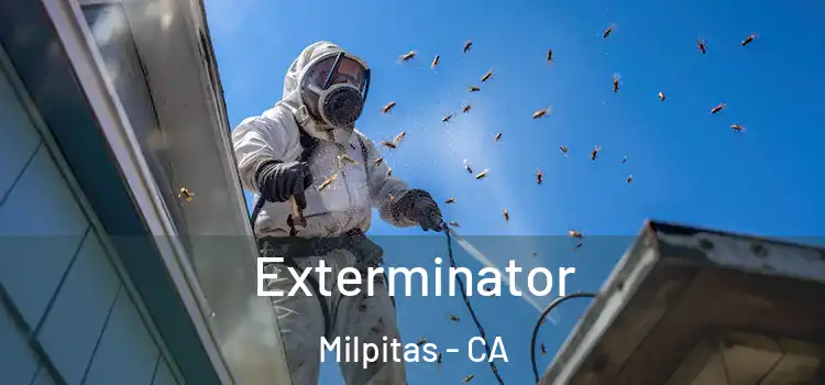  Exterminator Milpitas - CA