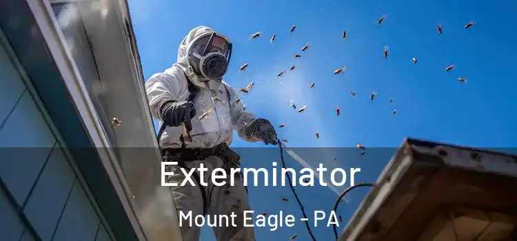  Exterminator Mount Eagle - PA