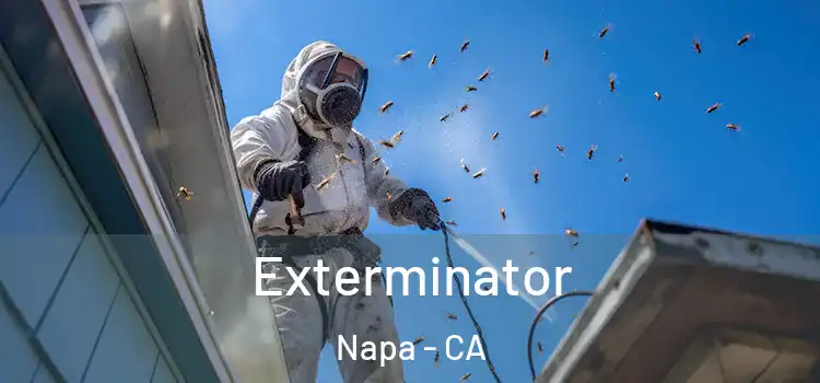  Exterminator Napa - CA