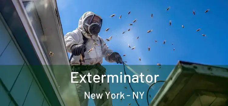 Exterminator New York - NY