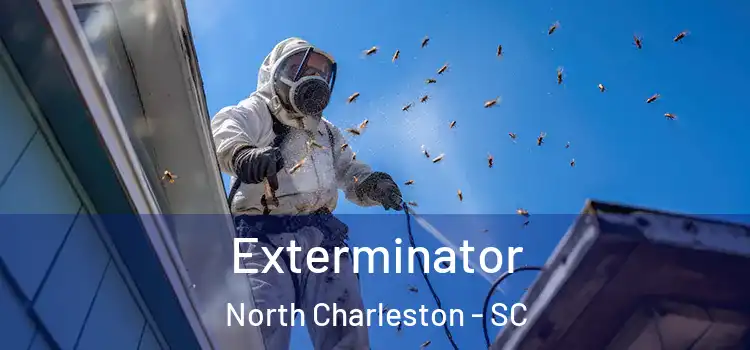 Exterminator North Charleston - SC
