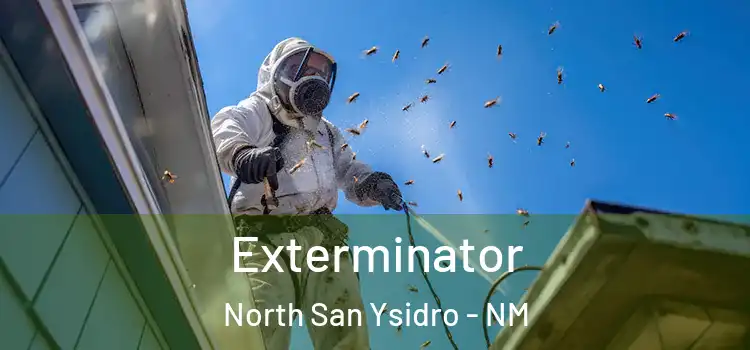  Exterminator North San Ysidro - NM