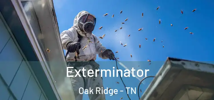 Exterminator Oak Ridge - TN