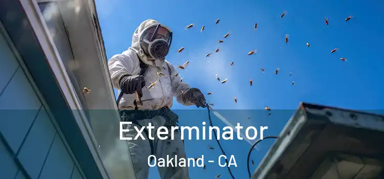 Exterminator Oakland - CA