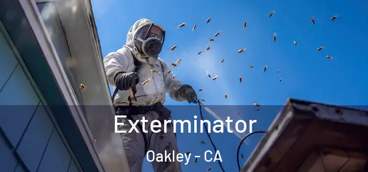  Exterminator Oakley - CA