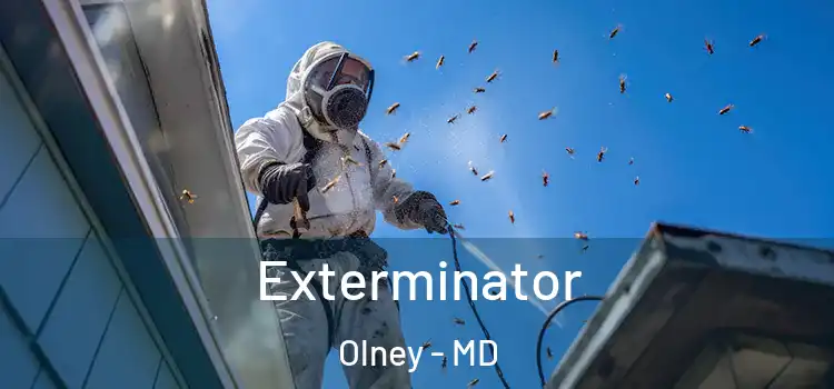 Exterminator Olney - MD