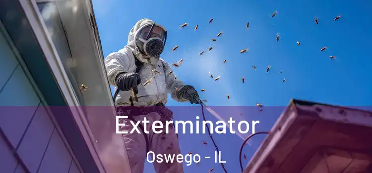  Exterminator Oswego - IL
