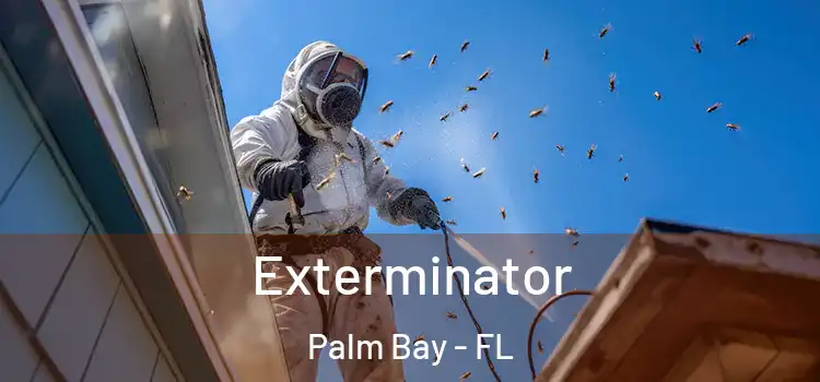  Exterminator Palm Bay - FL
