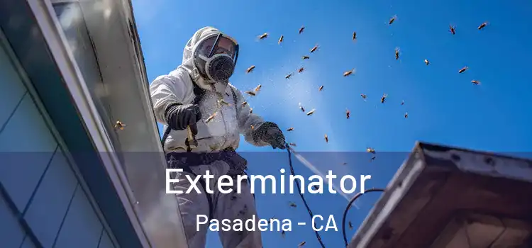 Exterminator Pasadena - CA