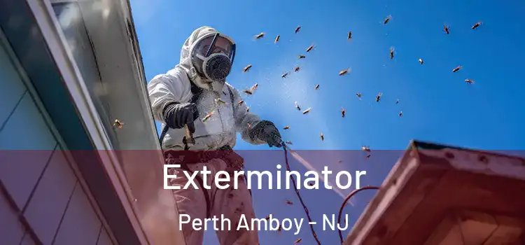  Exterminator Perth Amboy - NJ