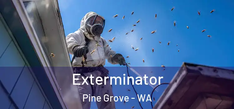  Exterminator Pine Grove - WA