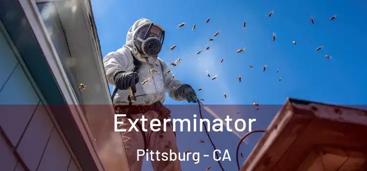  Exterminator Pittsburg - CA