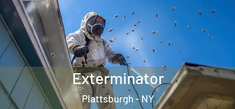 Exterminator Plattsburgh - NY