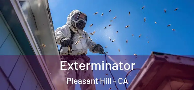  Exterminator Pleasant Hill - CA