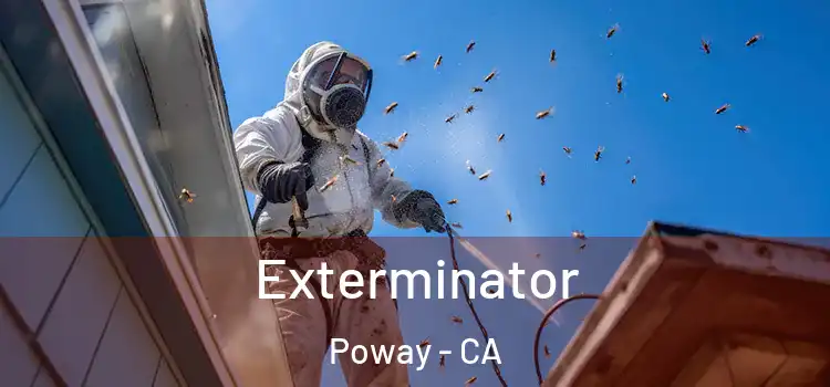 Exterminator Poway - CA