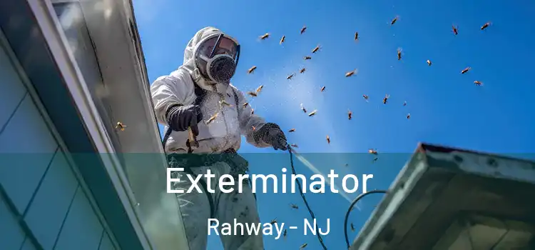  Exterminator Rahway - NJ