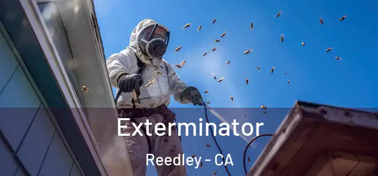  Exterminator Reedley - CA