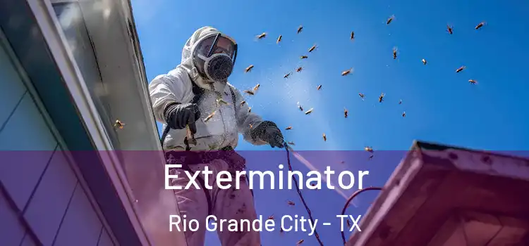  Exterminator Rio Grande City - TX