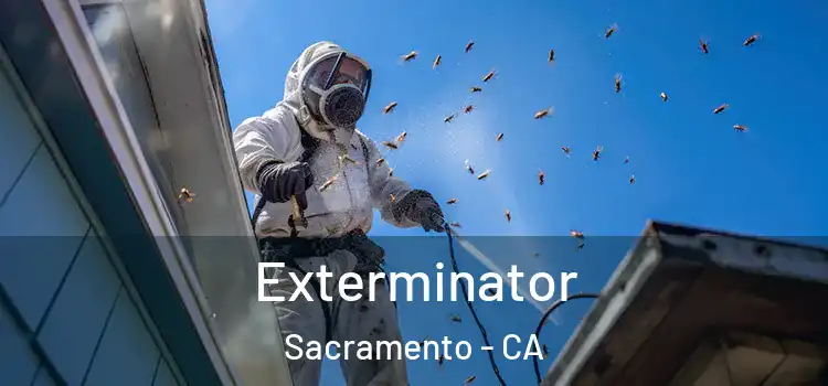  Exterminator Sacramento - CA
