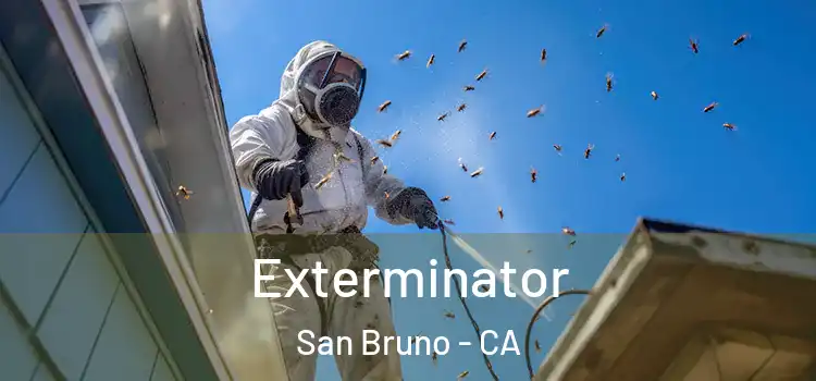 Exterminator San Bruno - CA