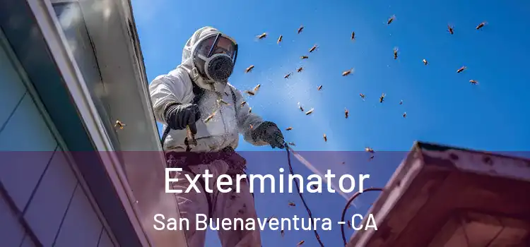Exterminator San Buenaventura - CA
