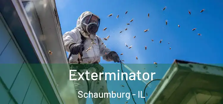 Exterminator Schaumburg - IL