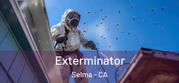 Exterminator Selma - CA
