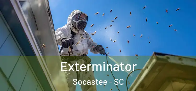 Exterminator Socastee - SC