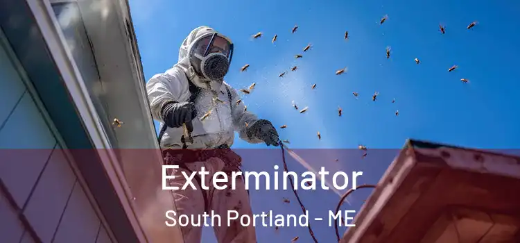  Exterminator South Portland - ME