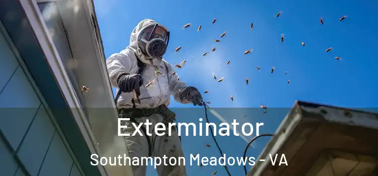 Exterminator Southampton Meadows - VA
