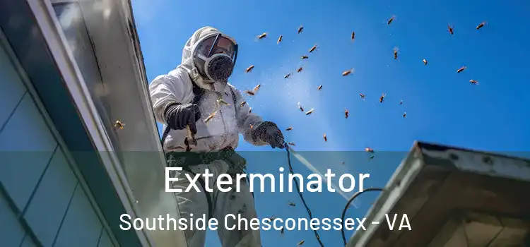 Exterminator Southside Chesconessex - VA