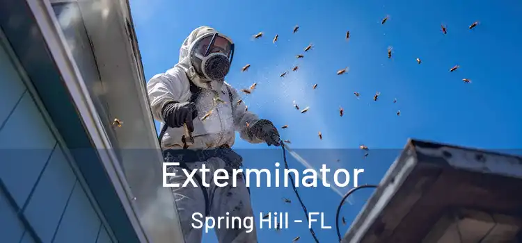  Exterminator Spring Hill - FL