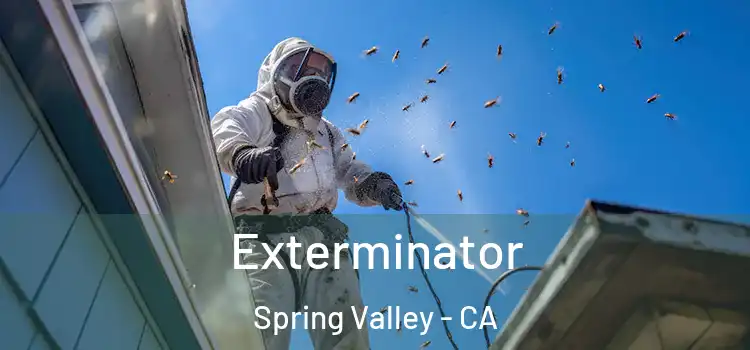 Exterminator Spring Valley - CA