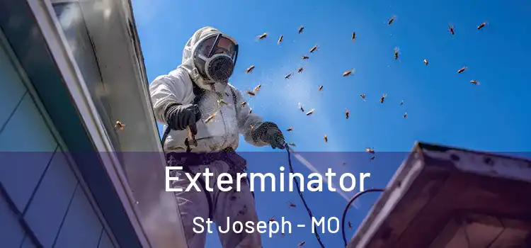  Exterminator St Joseph - MO