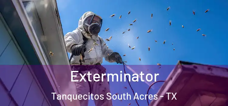  Exterminator Tanquecitos South Acres - TX
