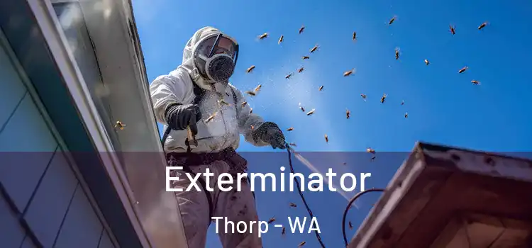  Exterminator Thorp - WA
