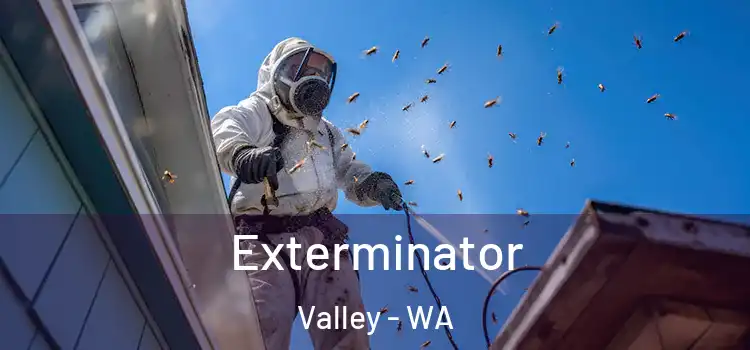  Exterminator Valley - WA