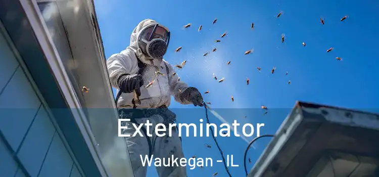  Exterminator Waukegan - IL