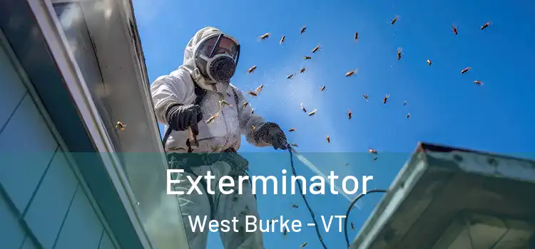  Exterminator West Burke - VT