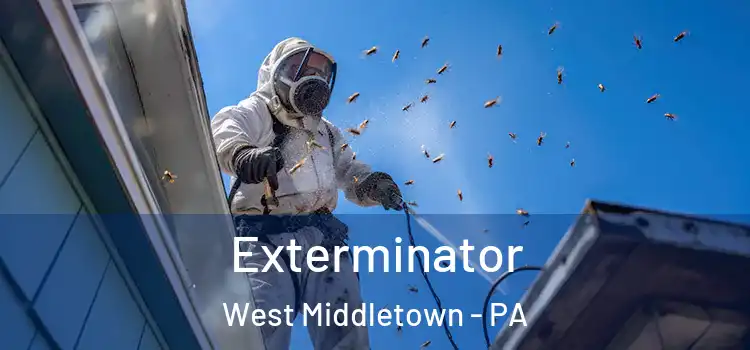 Exterminator West Middletown - PA
