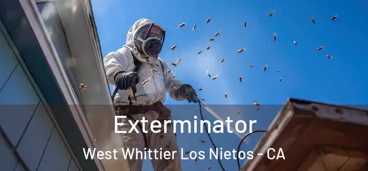  Exterminator West Whittier Los Nietos - CA
