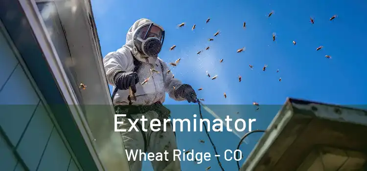  Exterminator Wheat Ridge - CO