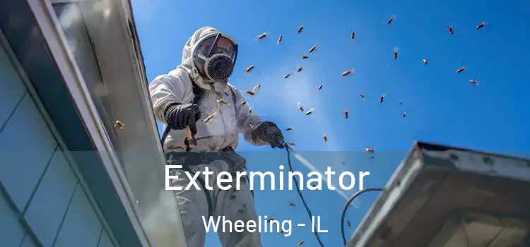  Exterminator Wheeling - IL