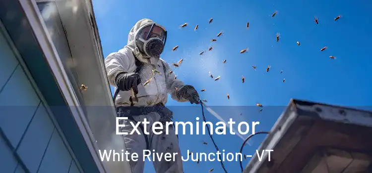 Exterminator White River Junction - VT