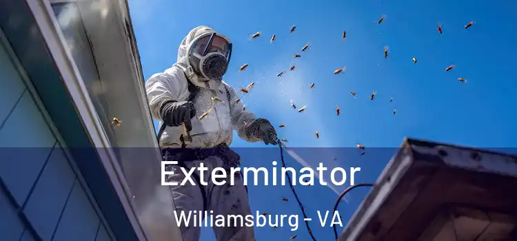  Exterminator Williamsburg - VA