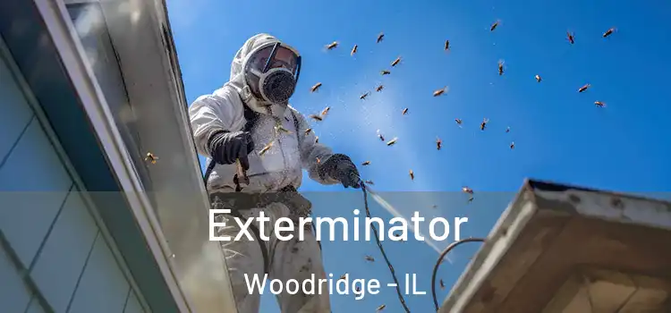  Exterminator Woodridge - IL